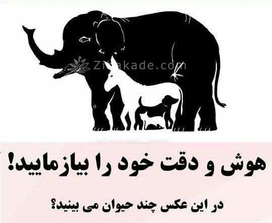 تست روانشناسی